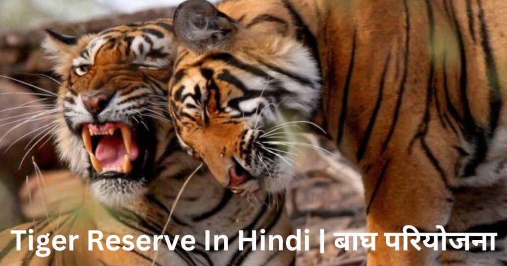 Tiger Reserve In Hindi | बाघ परियोजना