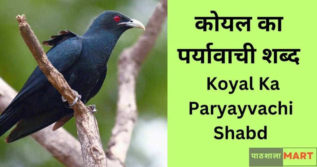 Koyal Ka Paryayvachi Shabd