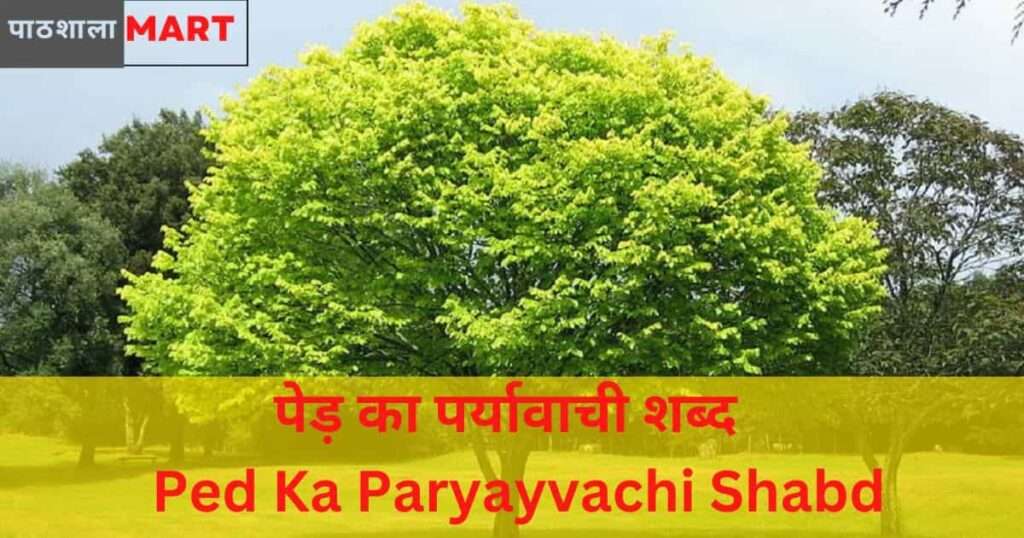 Ped Ka Paryayvachi Shabd